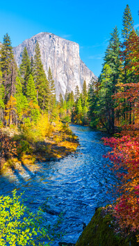 Rzeka Merced w Parku Narodowym Yosemite