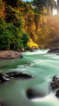 Rzeka na wyspie Bali