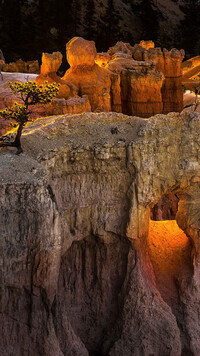 Skały w Parku Narodowym Bryce Canyon