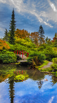 Staw i mostek w ogrodzie Kubota Garden
