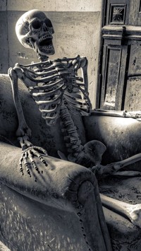 Szkielet w fotelu
