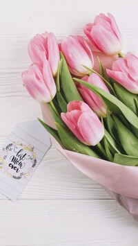 Tulipany na Dzień Matki