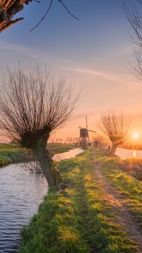 Wiatrak i wierzby nad rzeką w Holandii