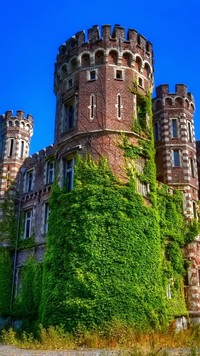 Wieża zamku porośnięta zielenią