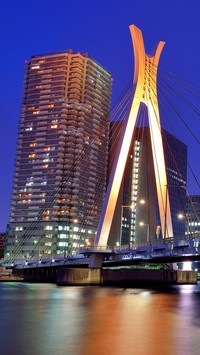 Wieżowce nad rzeką w Tokio