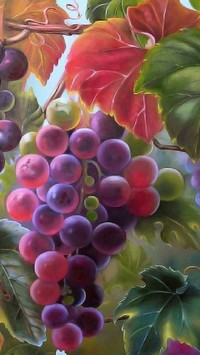 Winogrona na obrazie