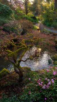 Wiosna w ogrodzie Kubota Garden w Seattle