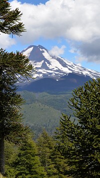 Wulkan Llaima w Chile