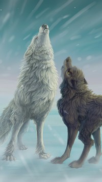 Wyjące wilki zimą
