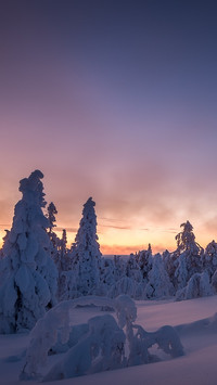 Zima w Laponii