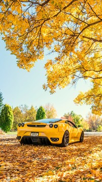 Żółte Ferrari pod drzewem