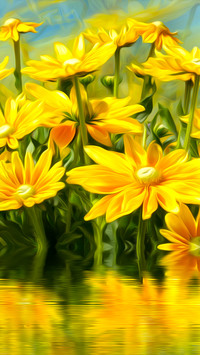 Żółte kwiaty nad wodą