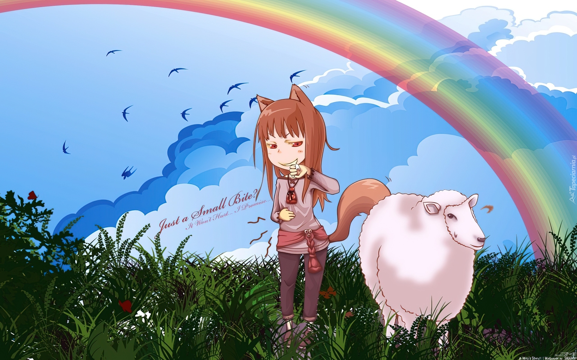Spice and Wolf, Owca
