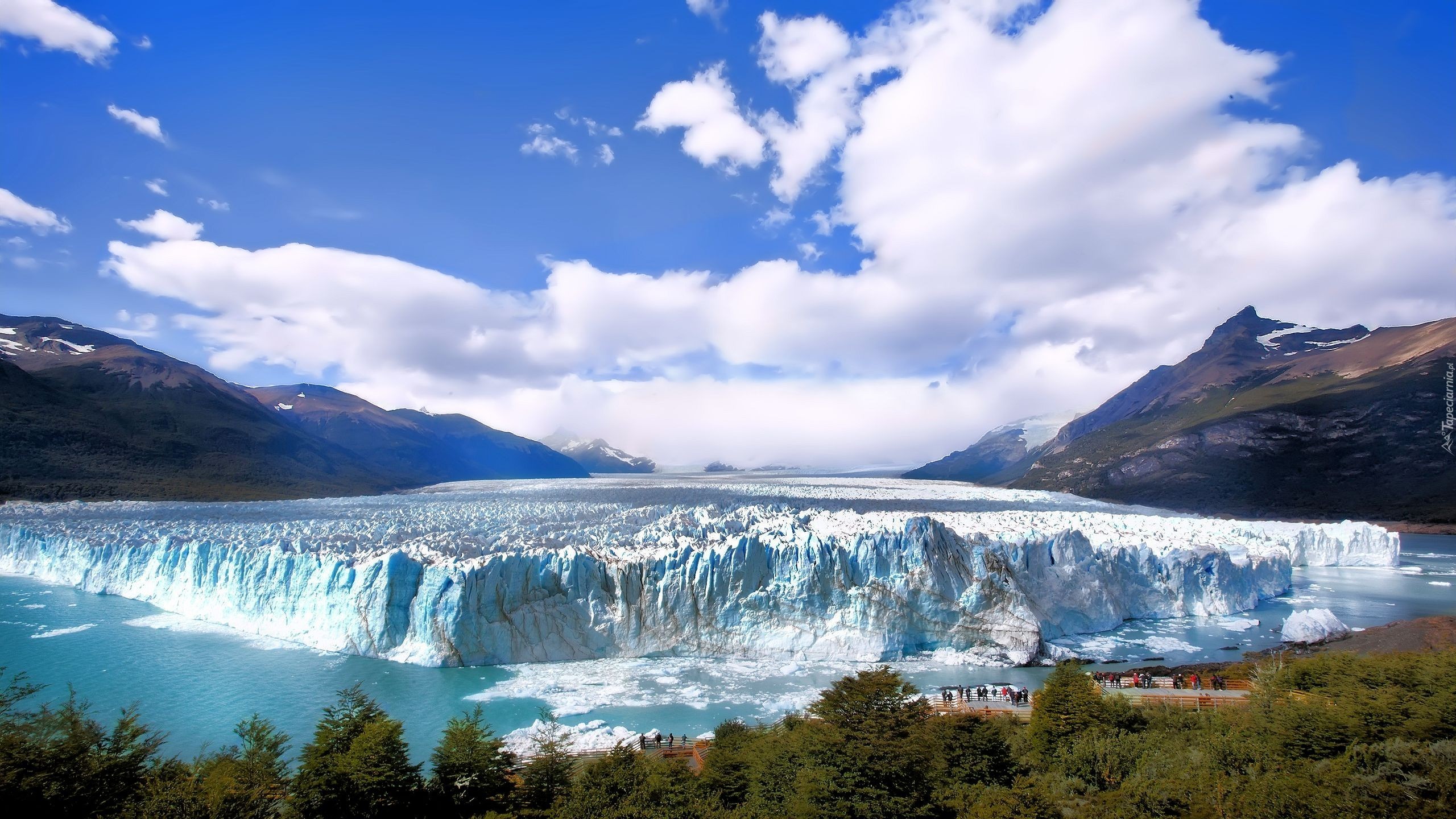Argentyna, Lodowiec, Perito Moreno, Góry, Drzewa, Park Narodowy Los Glaciares
