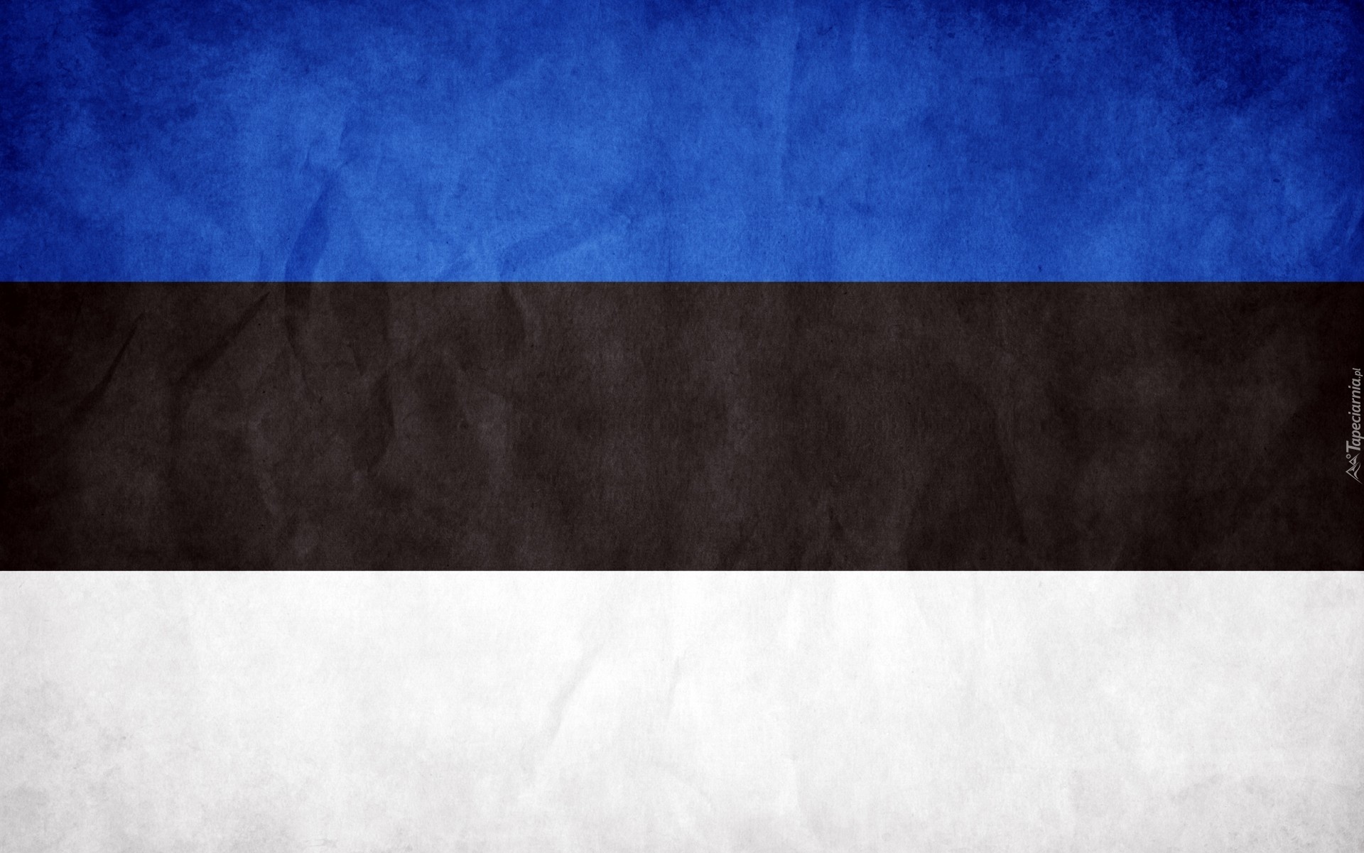 Flaga, Państwa, Estonia