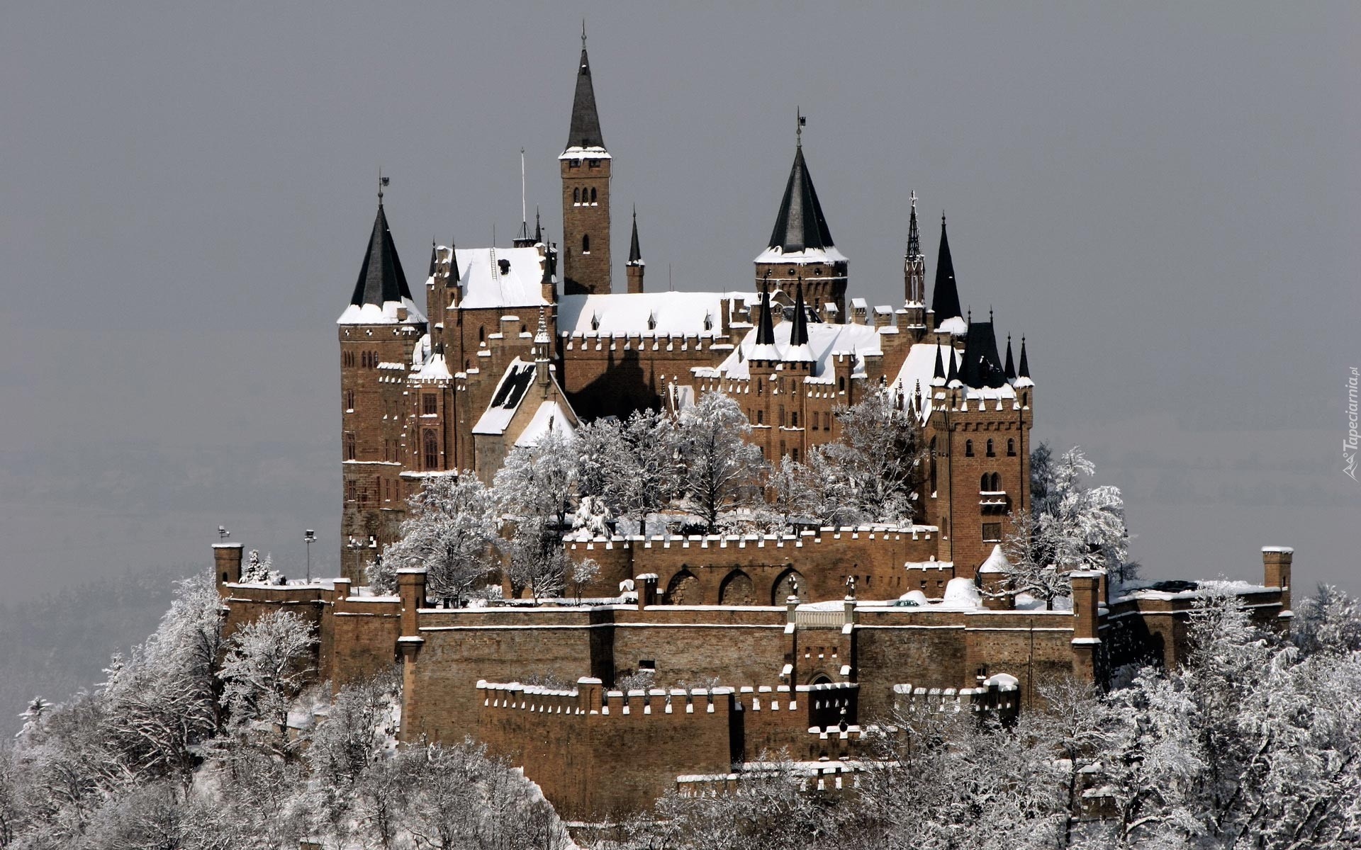Niemcy, Zamek Hohenzollern, Wzgórze, Zima, Drzewa