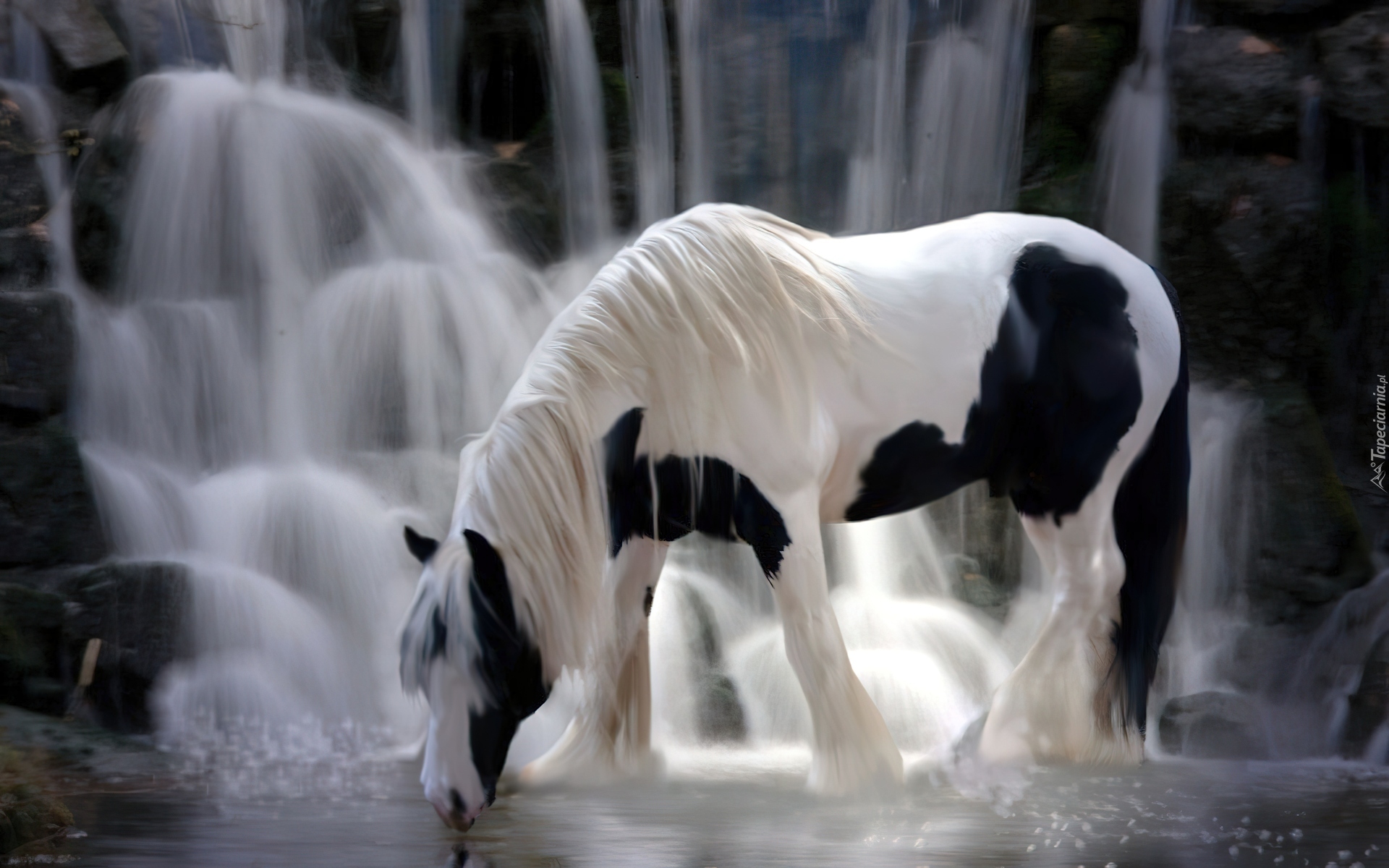 Koń, Wodospad, Woda