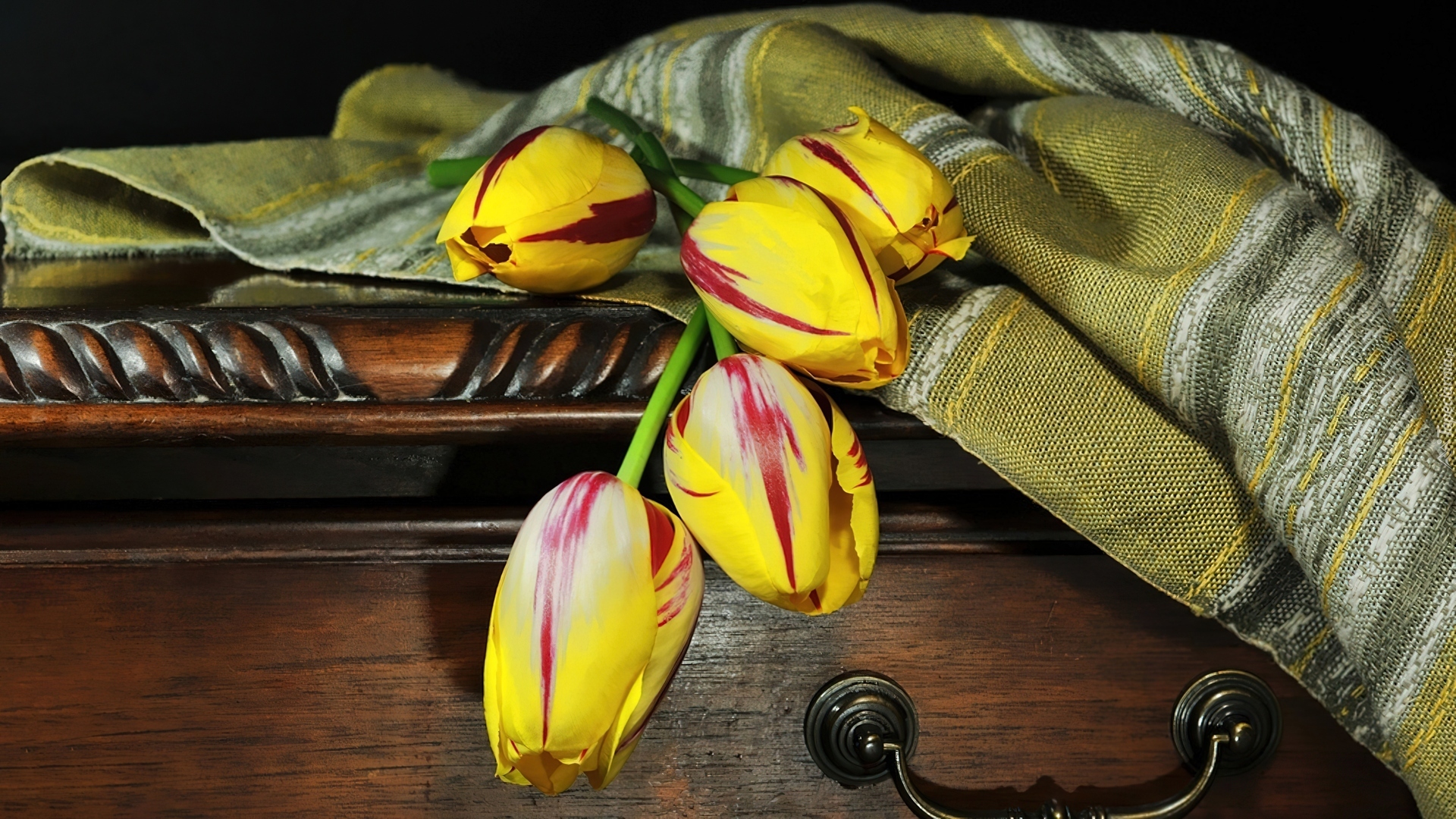 Kolorowe, Tulipany, Narzuta, Skrzynia