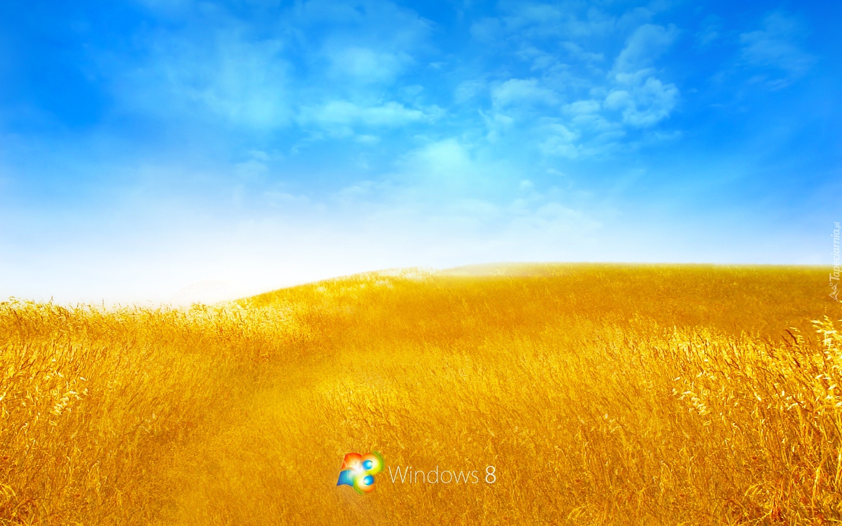 Łany, Zboża, Niebo, Windows 8, Logo
