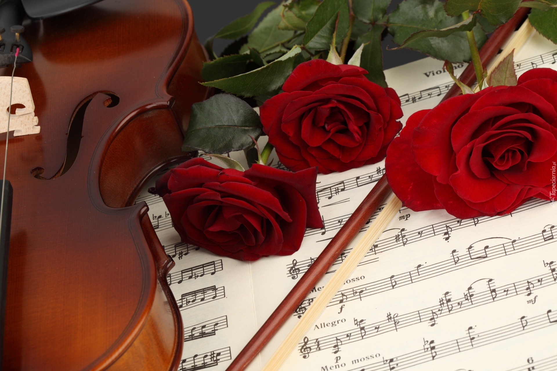 Skrzypce, Instrument, Muzyczny, Nuty, Róże