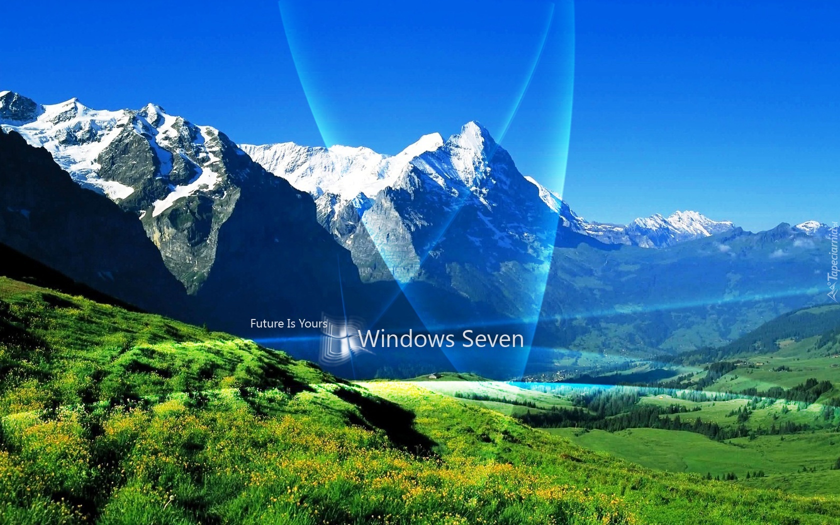 System, Operacyjny, Windows, Siedem, Łąka, Góry