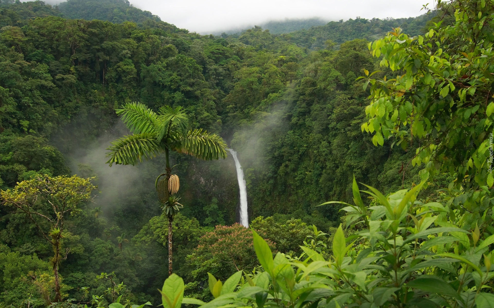 Dżungla, Wodospad