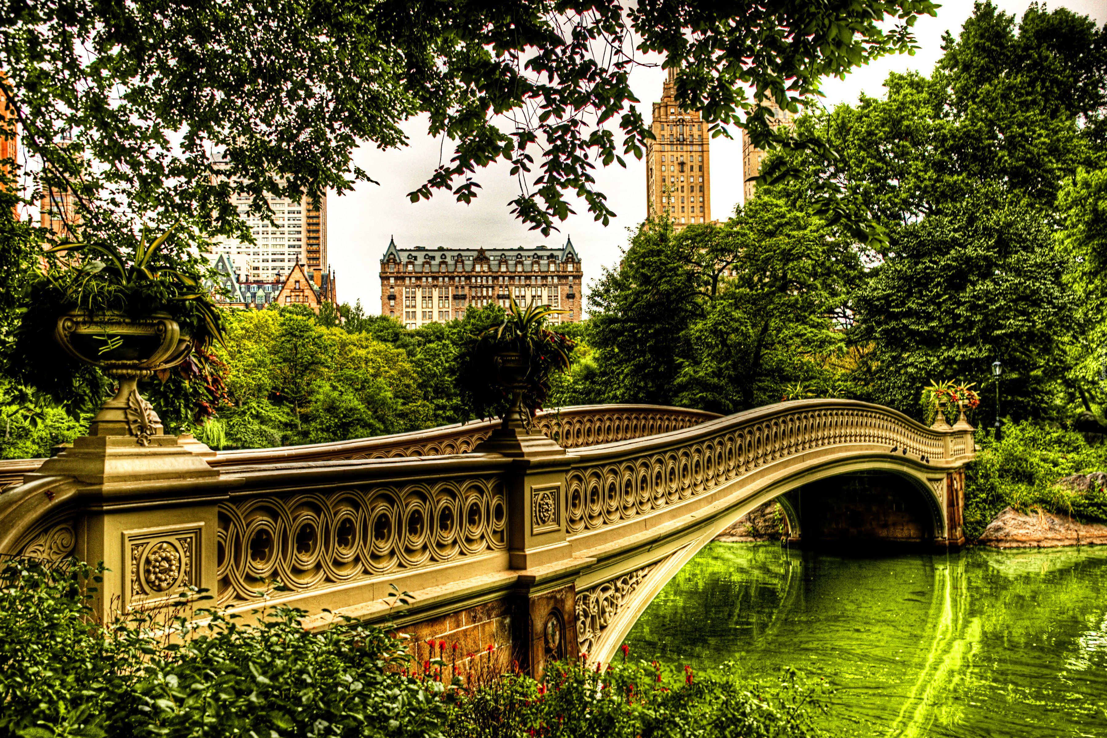 Central Park, Most