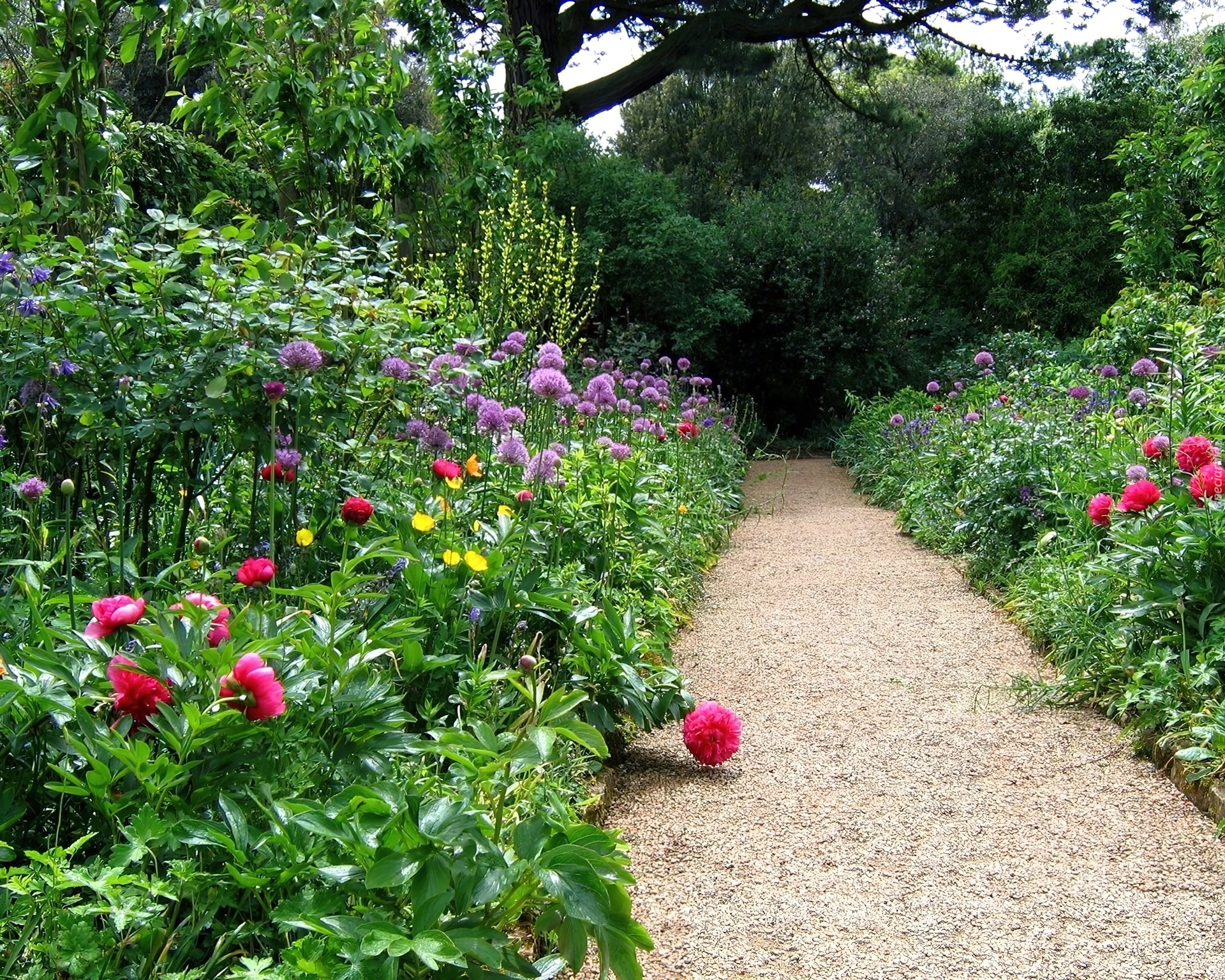 Ogród, Kwiaty, Ścieżka