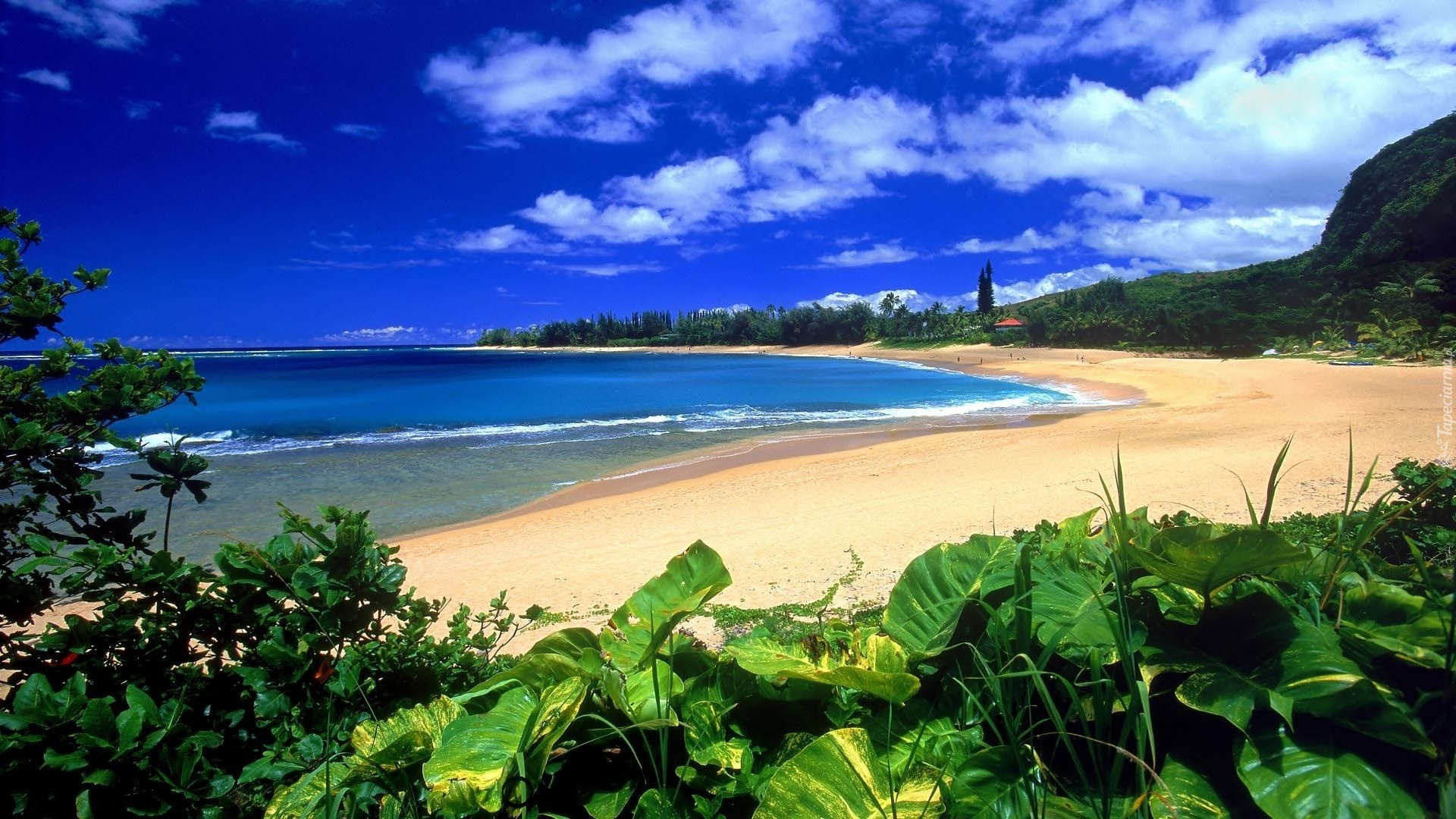 Hawaje, Kauai, Piasek, Liście, Woda