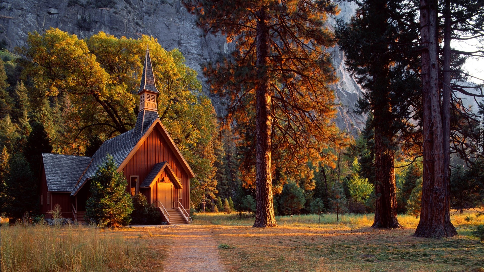 Stany Zjednoczone, Stan Kalifornia, Park Narodowy Yosemite, Kościółek Yosemite Valley Chapel, Drzewa