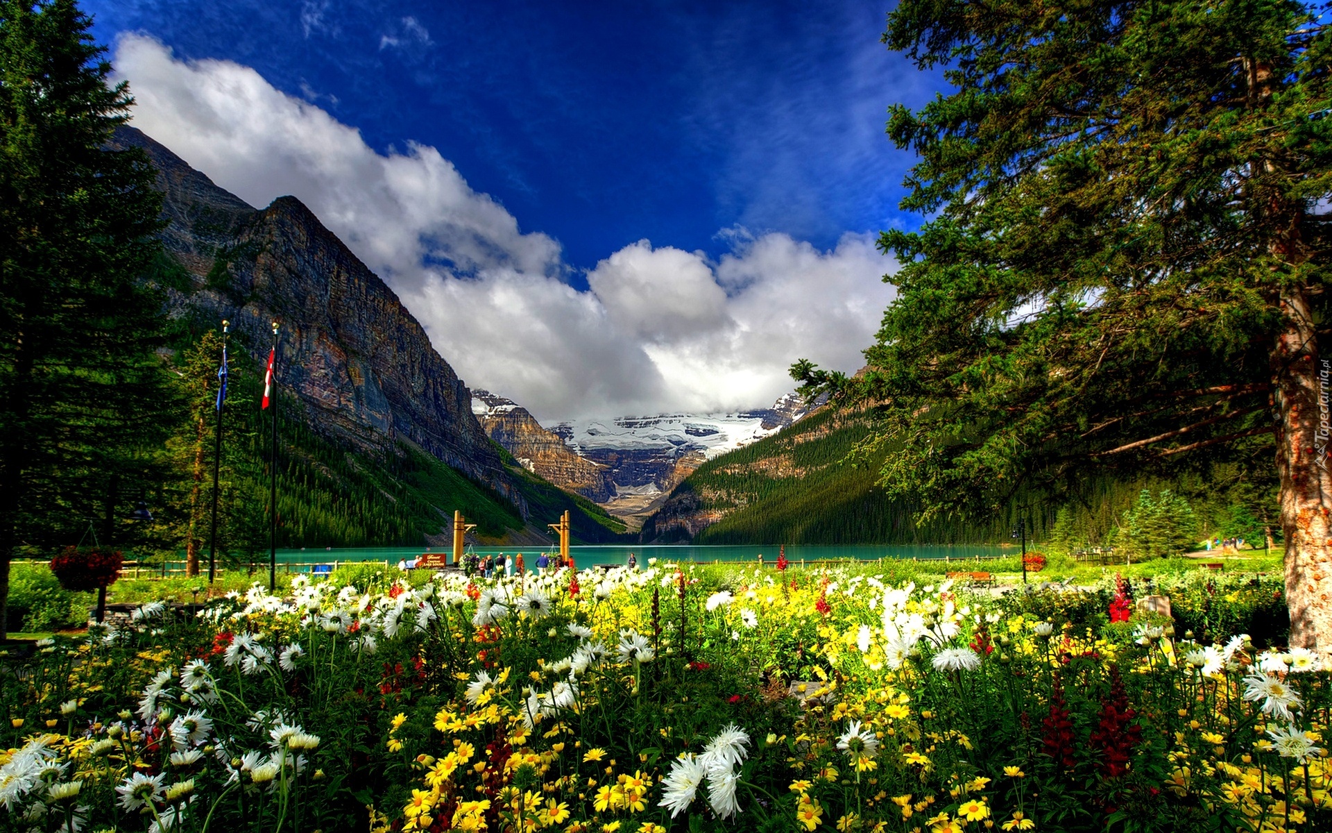 Góry, Jezioro, Park, Kolorowe, Kwiaty