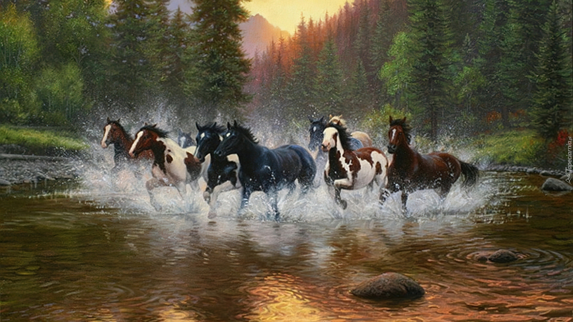 Konie, Rzeka, Las, Galop