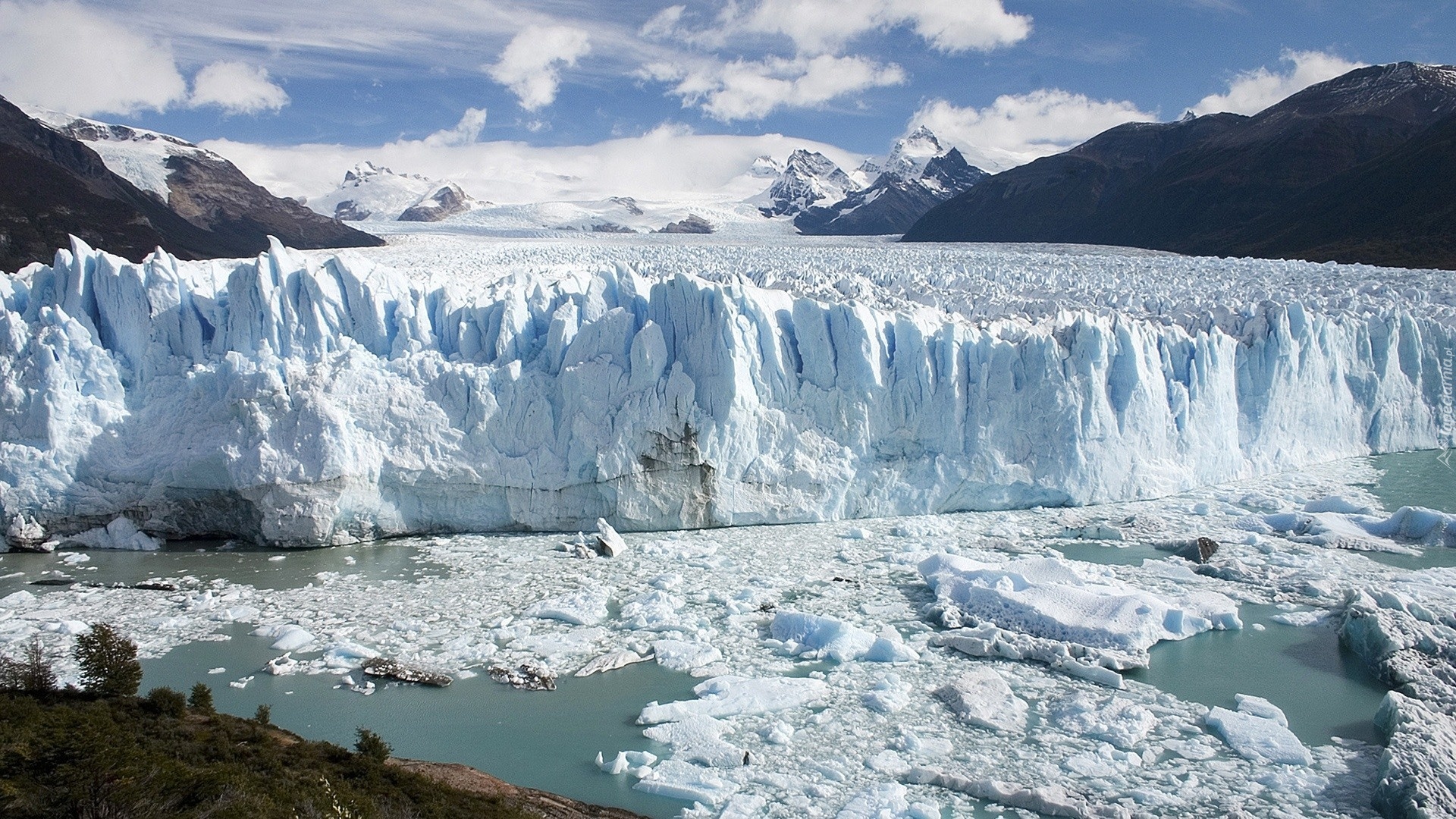 Argentyna, Lodowiec, Perito Moreno, Góry, Drzewa, Park Narodowy Los Glaciares