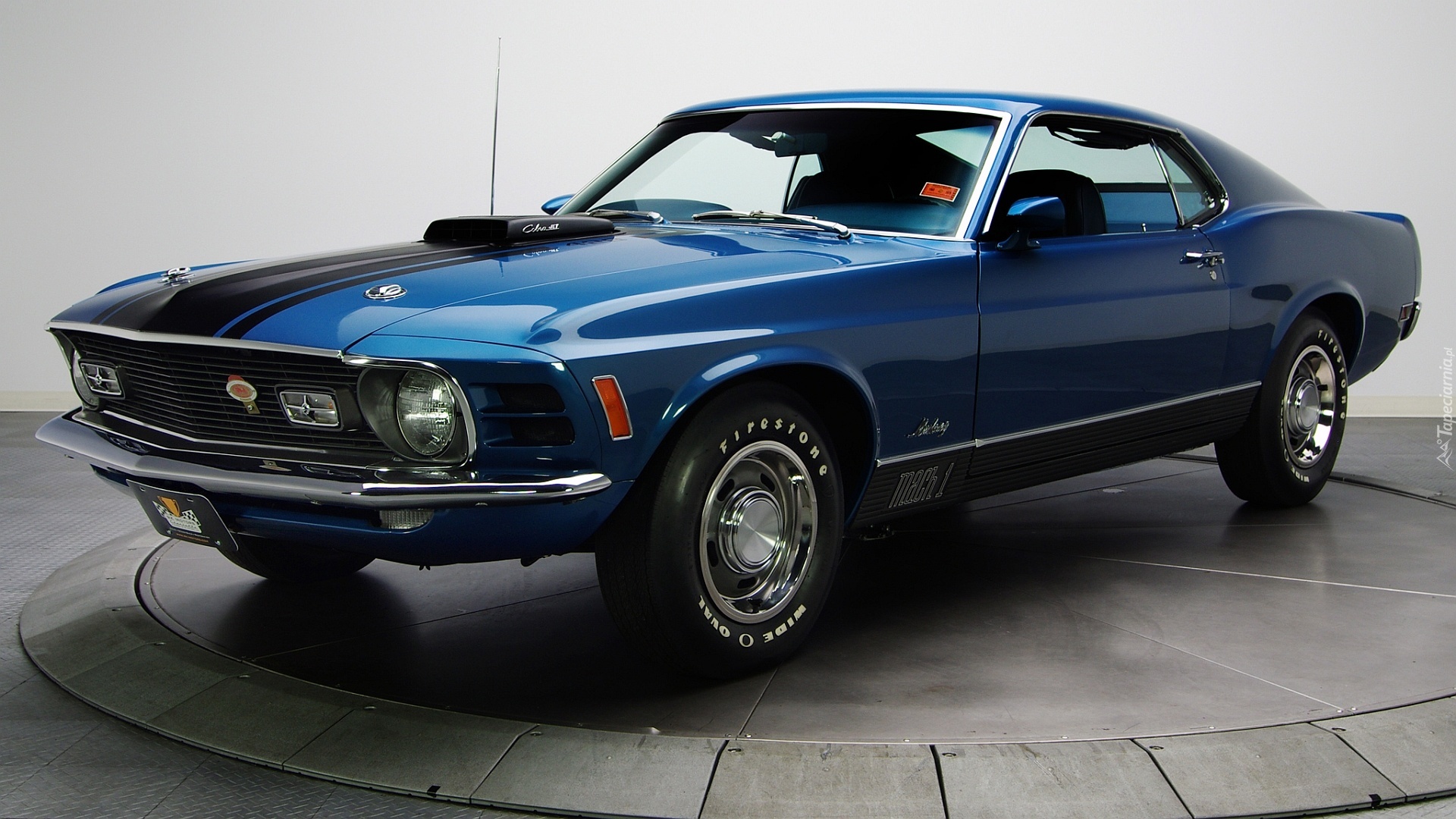 Niebieski, Ford Mustang, Wystawa