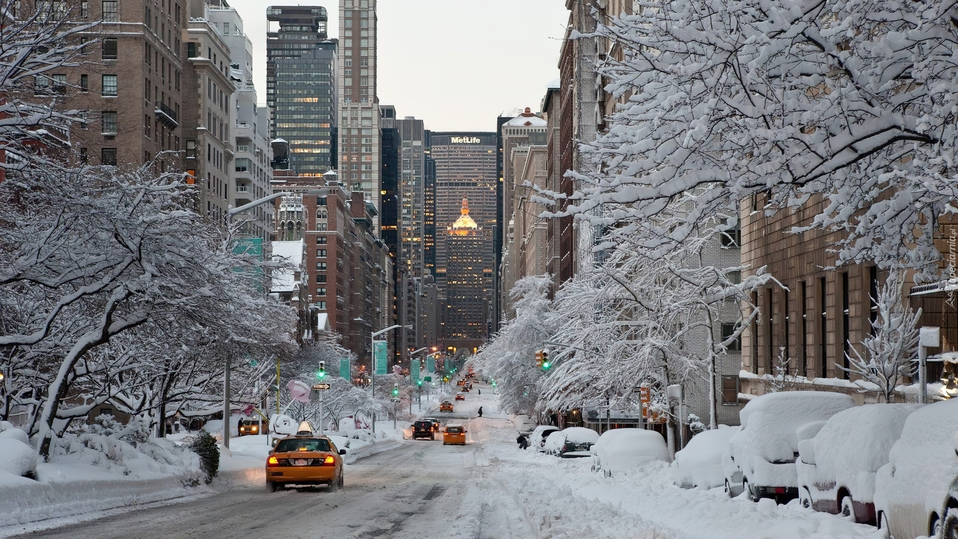 Zima, Nowy York, Ulica