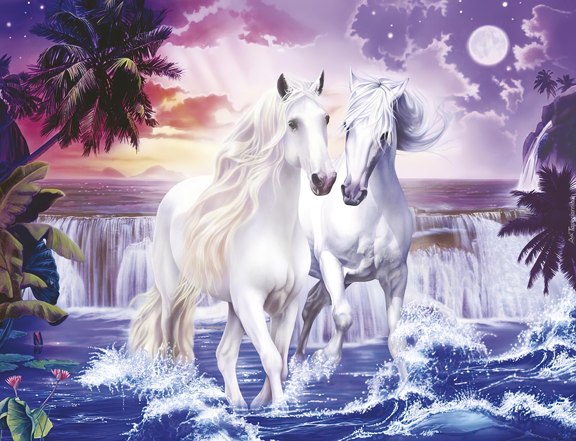 Białe, Konie, Wodospad