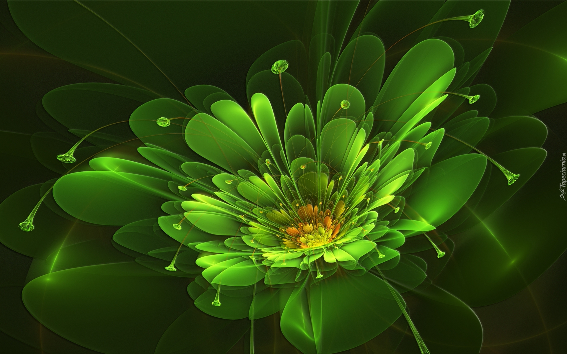 Zielony, Kwiat, 3D, Fraktal