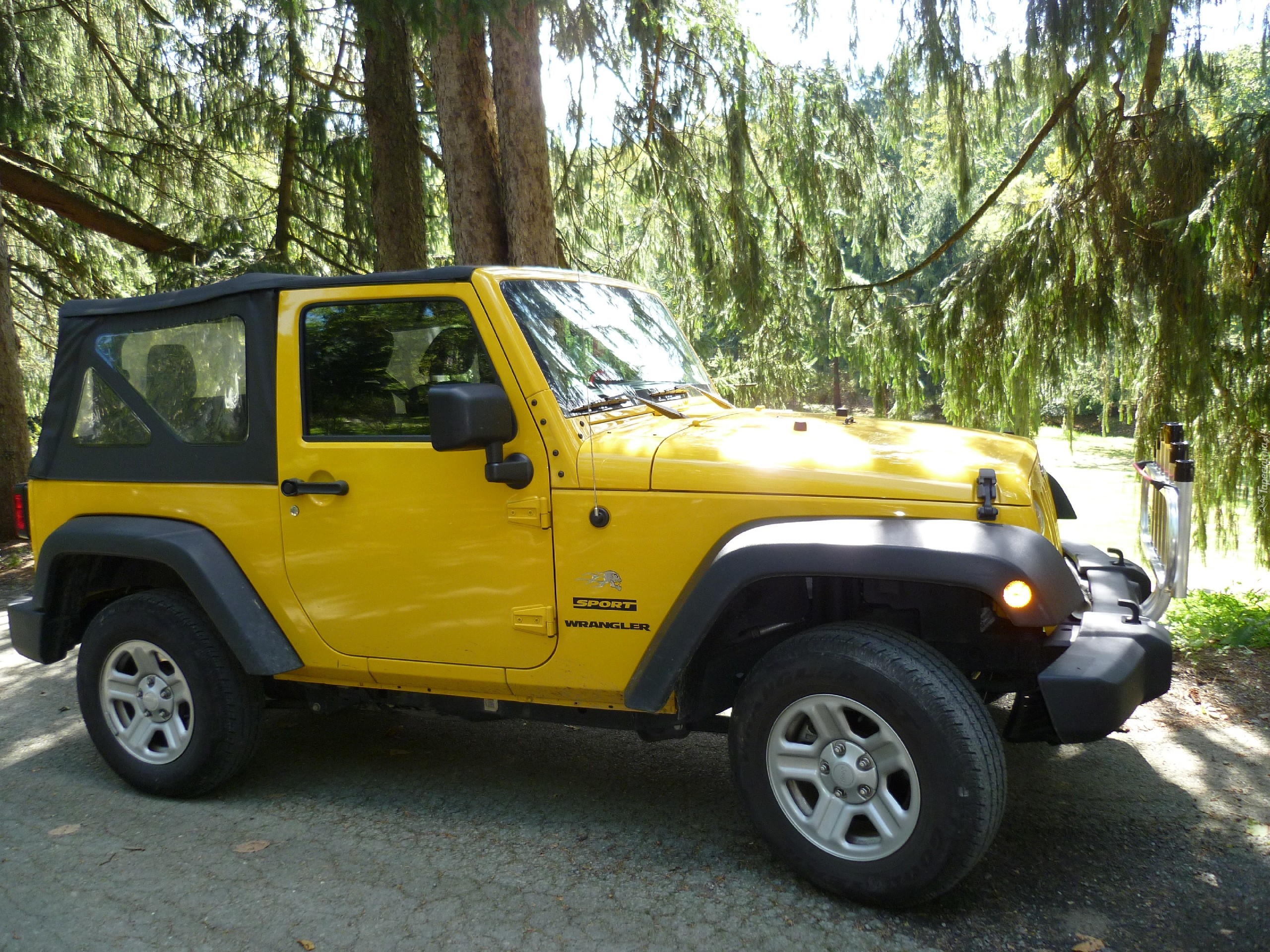 Jeep, Wrangler, Żółty