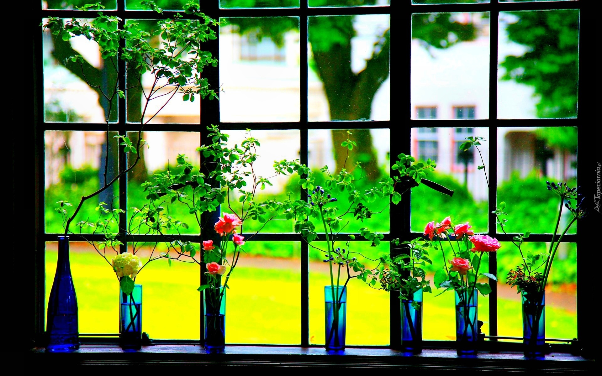 Okno, Wazoniki, Rośliny, Róże, Widok