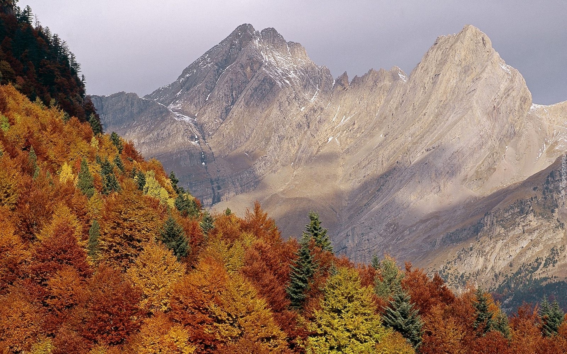 Góry, Lasy, Jesień