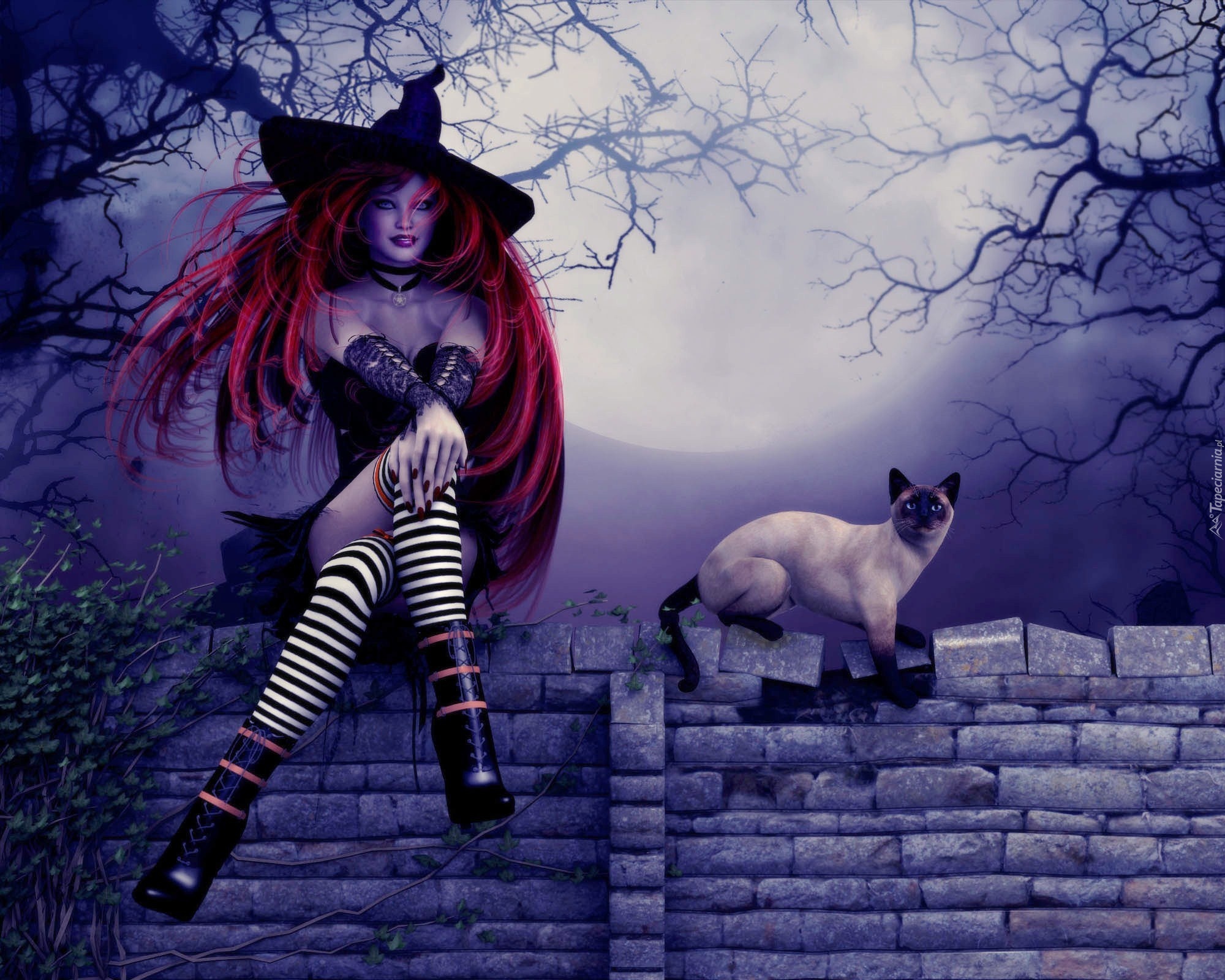 Halloween, Kobieta, Czarownica, Kot