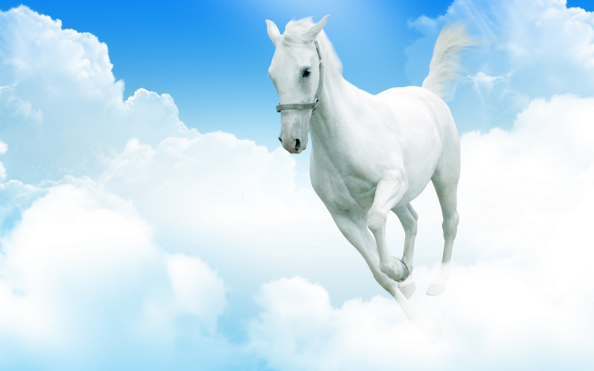 Koń, Niebo, Chmury