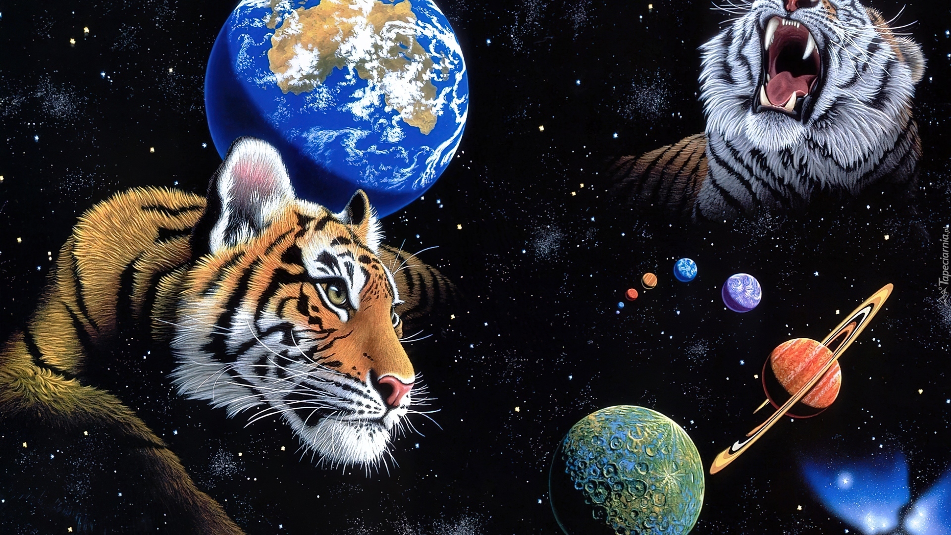 Tygrysy, Planety, Kosmos, William Schimmel