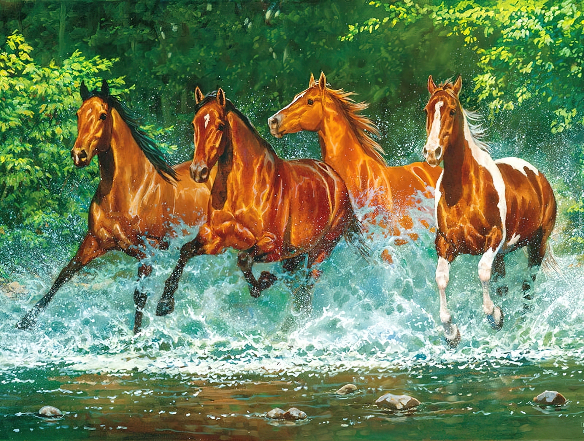 Cztery, Konie, Rzeka