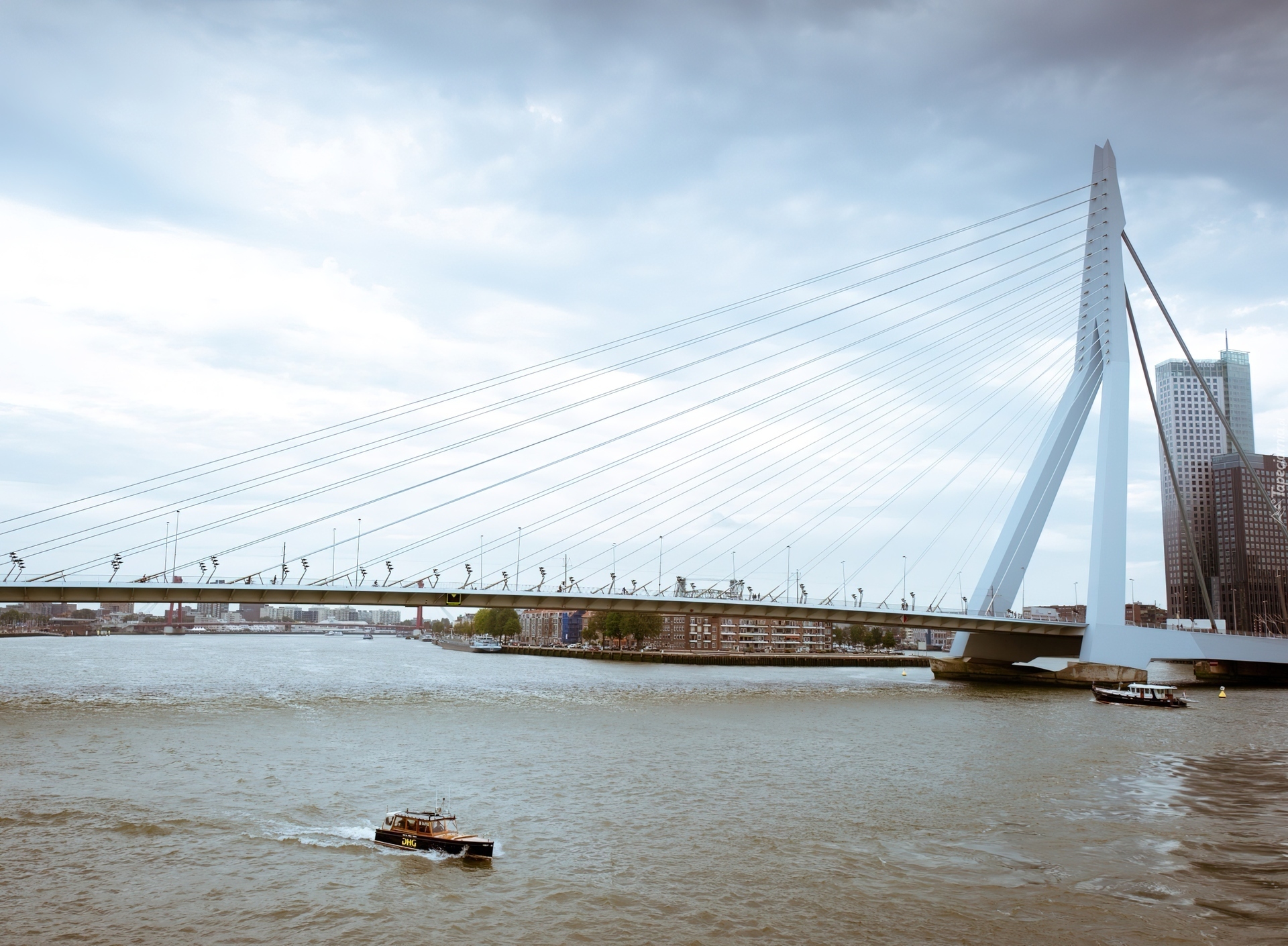 Erasmus Bridge, Rotterdam, Holandia, Rzeka