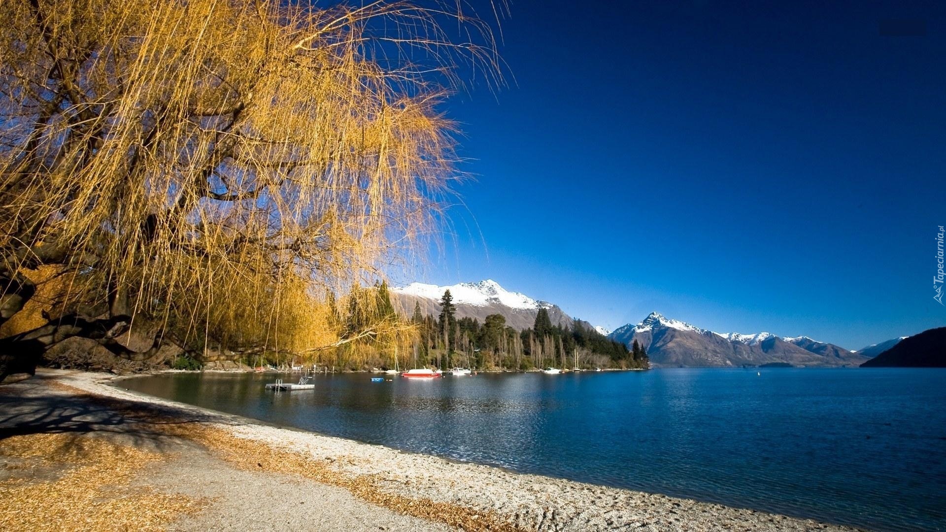 Jezioro, Plaża, Góry, Drzewa, Wakatipu, Nowa Zelandia