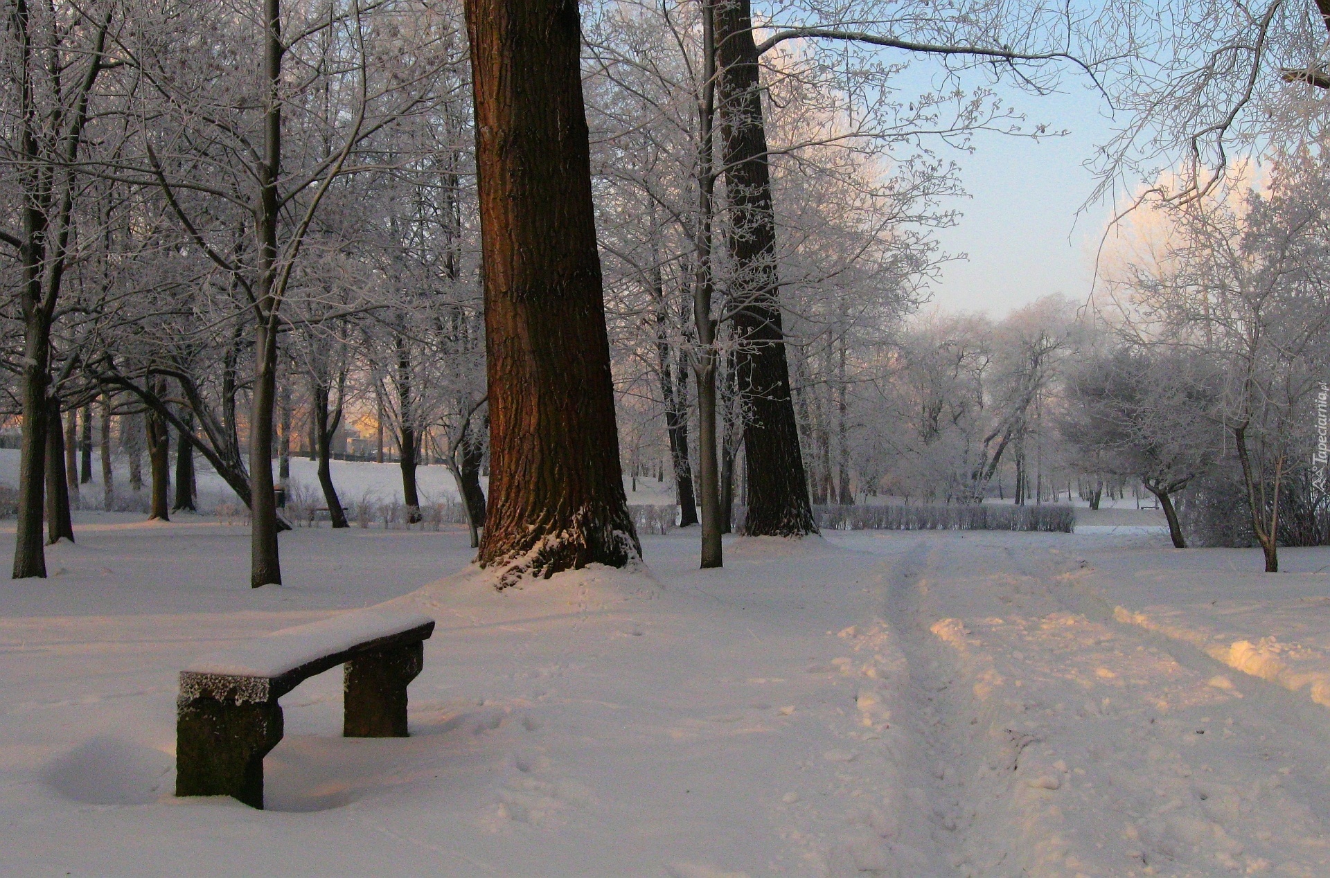 Zima, Park, Drzewa, Ławka, Śnieg