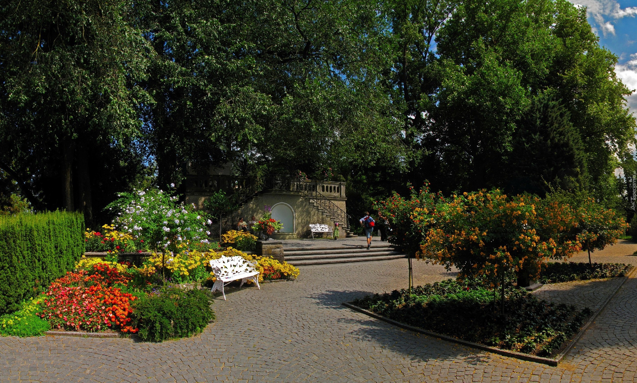 Park, Drzewa, Kwiaty, Ławka