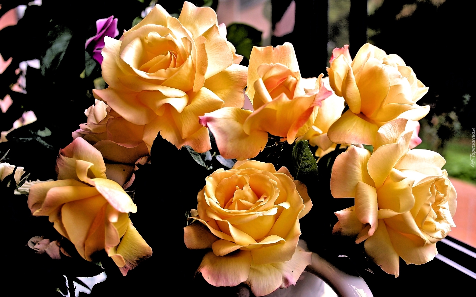 Bukiet, Żółtych, Róż