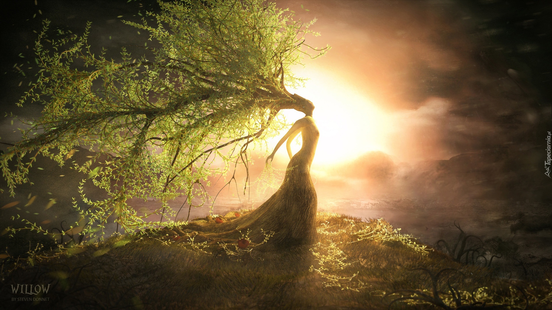 Kobieta, Drzewo, Słońce